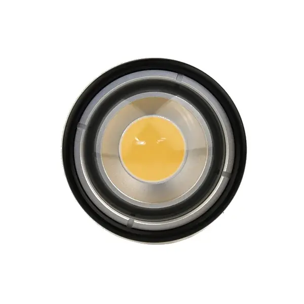 deep-sea-light-white-background.webp