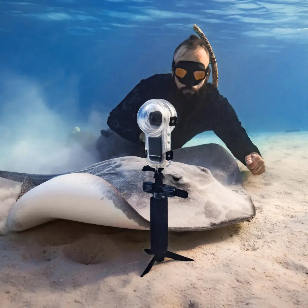 Dive Buddy (6).webp