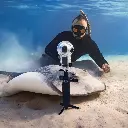 Dive Buddy (6).webp