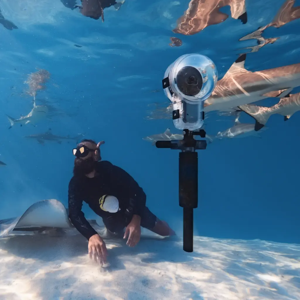 Dive Buddy (4).webp
