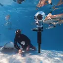 Dive Buddy (4).webp