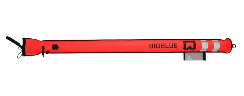 Bigblue SMB.webp
