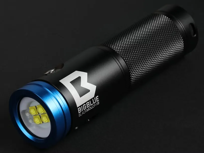 Bigblue Black Molly VIIB