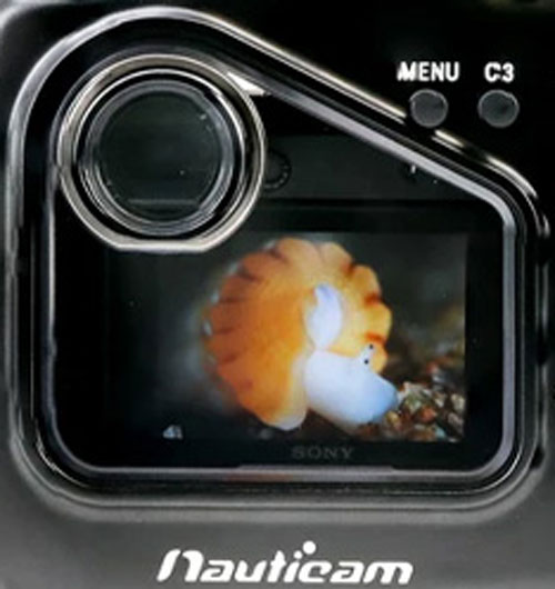 Nauticam NA-5DMKIII LCD Polycarbonate Window